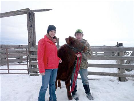 4-H Council President Aimee Burland and Robert Rider, member of the Mission Valley Rangers 4-H Club, prepare to weigh in a market steer on a chilly Saturday in January.