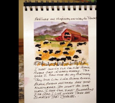 Nancy Gordon’s sketchbook contains a watercolor of Angus calves in the springtime.N