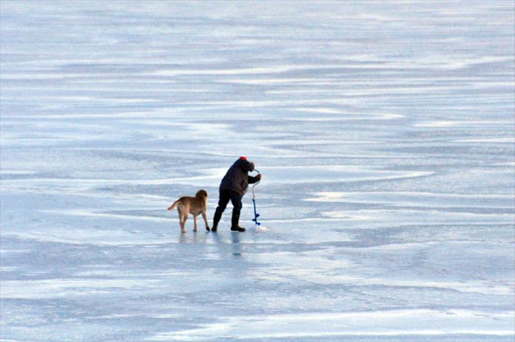 With his faithful friend by his side, a hardy fisherman drills in the lake's ice to prepare for ice fishing.