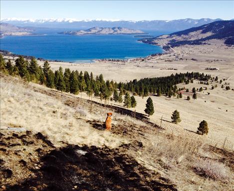 A black circlular indent at the site of the Big Arm fire has firefighter Matt Sisler wondering if the cause could be parts of a rocket that burned upon reentry from space last week.