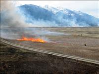 Prescribed burns benefit wildlife habitat