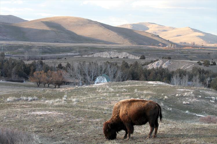 National Bison Range