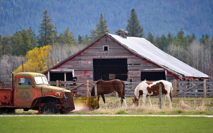 Linda Sappington/Valley Journal Sights along Highway 93 in Ronan offer a sense of the agricultural community and history of the ranching town. 