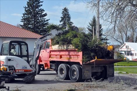 Rolan Godan, member of the Ronan Chamber of Commerce, removes overgrowth from around the Visitor Center. Members of Kicking Horse Jobs Corps also helped tidy the town. 