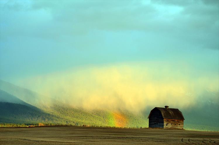 Barn rainbow, Ronan