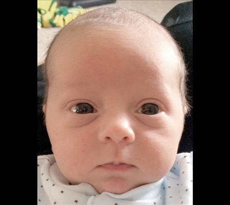 Tripp Johnston