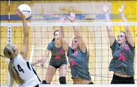 Polson shuts down Frenchtown on senior night