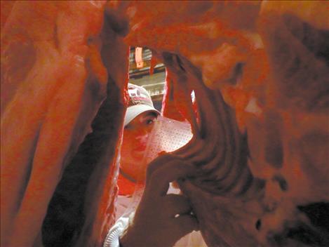 Ronan Senior Laurel Rigby examines a livestock carcass. 