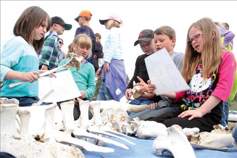 Valley View students examine a skeleton at the annual River Honoring ceremony. 