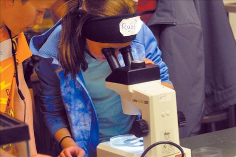 Students view stream bugs under a microscope. 