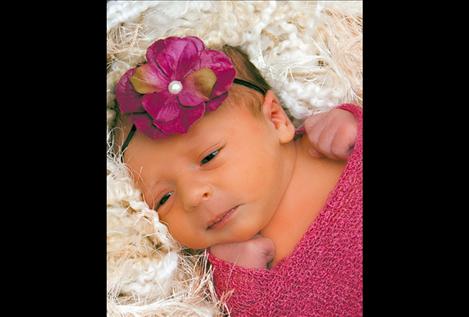 Paisley Sage Pleninger
