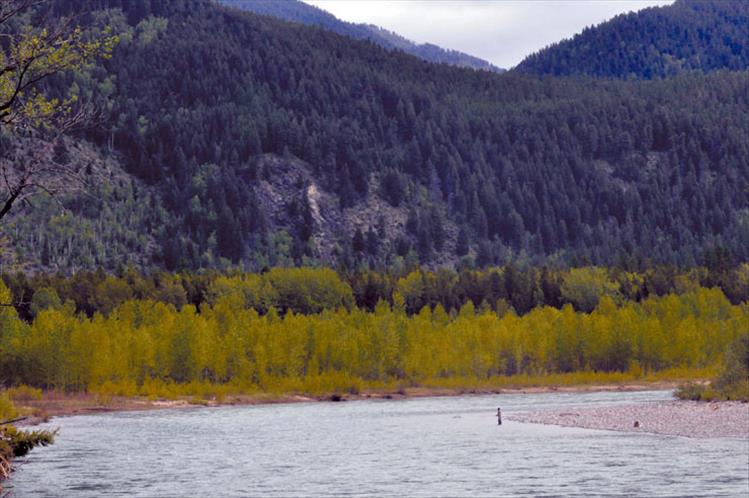 Flathead River
