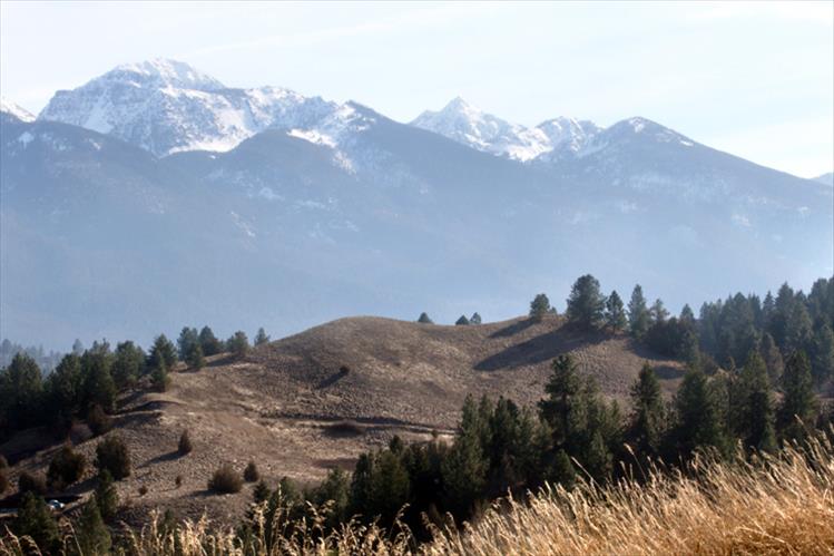 Polson hill