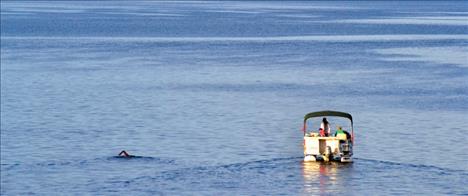 Mark swims alongside the support boat as they head out of Bigfork into the vast abyss of Flathead Lake.