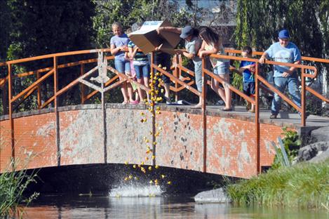 Ducks are released as part of a race into Spring Creek. 