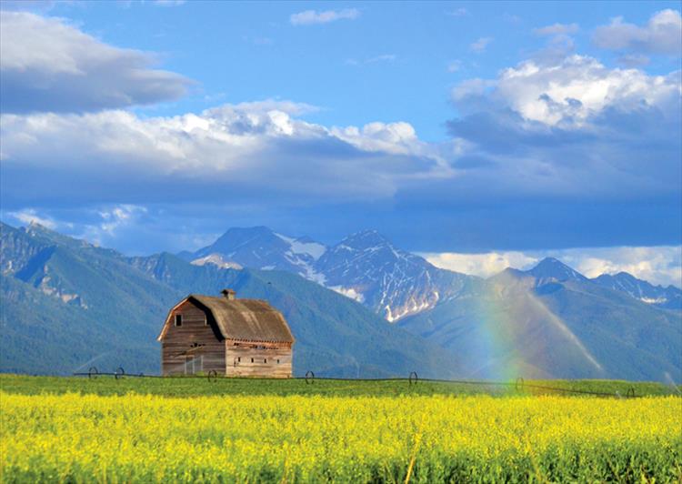 Ronan barn and rainbow