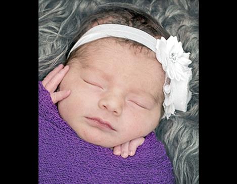 Lily Hooley