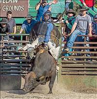 Local cowboys to ride at National High School Finals Rodeo