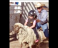 Mutton busters begin rodeo careers