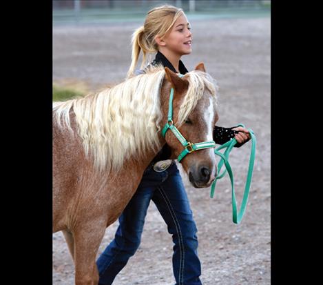 Madisyn Evelo practices a turn with Cloud, her miniature horse, during the first day of the Lake County Fair.