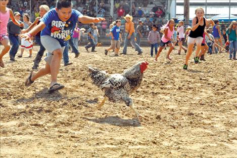 The ever-popular chicken scramble, part of the Kiddie Slicker rodeo, is sure to get the dust flying again this weekend as children chase after the wary birds.