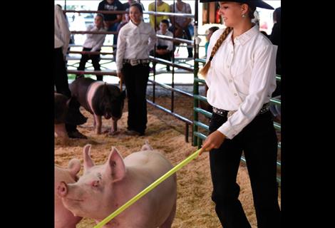 Quinn Motichka guides her pig though the swine showmanship class.