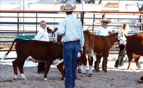 The market beef judge takes his first look at a class of junior showmen.