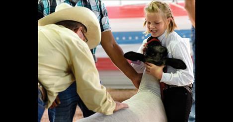 Market lamb judge Rod Everson checks the  finish on a  young 4-H club member’s lamb.