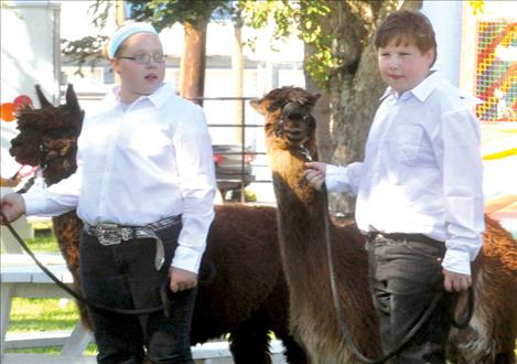 Shelby and Bowen Tryon prepare to walk their alpacas through an obstacle course.  