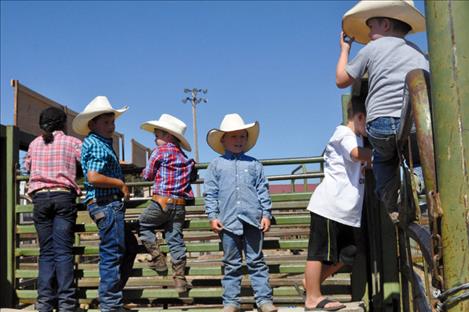 Little cowboys eye sheep before the Kiddie Slicker Rodeo.  