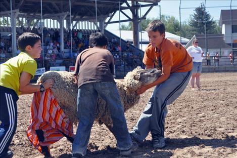Boys try to dress a sheep and drag it across the finish line in the Kiddie Slicker Rodeo. 