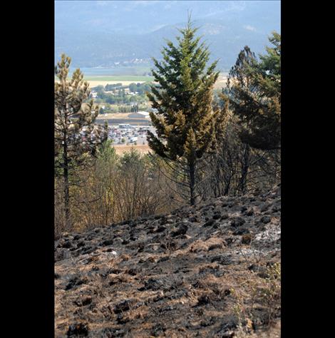 The Walmart parking lot is visible from the area of the blaze.