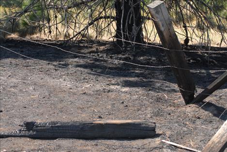 Charred wooden fenceposts remain after firefighters extinguished a lightning-caused fire.