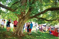 Sandpiper Outdoor Art Festival draws big crowds, great weather