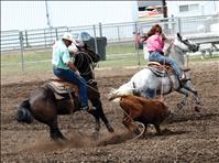 Ropin’ Rooster