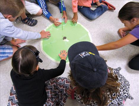 Bug race contestants prepare to release their insects