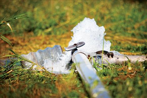 Irrigation water gushes from a pipe fed by the Flathead Indian Irrigation Project. 