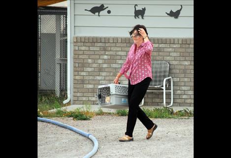 Volunteer Elaine Meeks rescues a cat from the shelter as the wind whips around her.