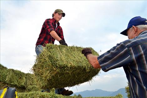 Layton Tallwhiteman, left, helps John Weber unload a ton of hay from Westland Seed just before the bidding began Saturday at the Lake County Fairgrounds.