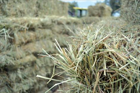 More than 10 tons of hay brought in $3,000 during the fundraising event.