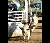 Bull-Riding Benefit