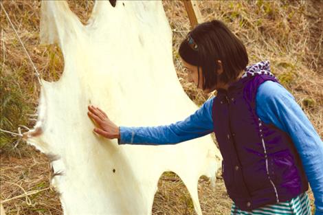 Saraya, a student from the Missoula International School, examines a stretched hide.