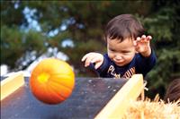 Community celebrates fall harvest, small business 