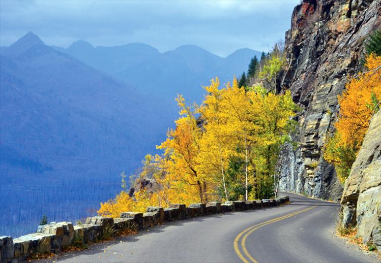 Final fall colors hug the sides of Going to the Sun Highway Road in Glacier National Park.