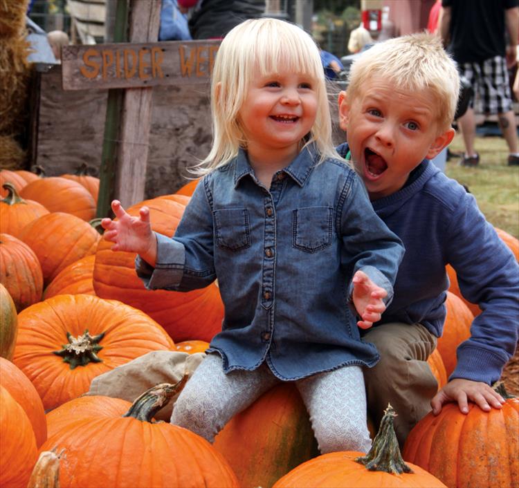 Pumpkin photobomb