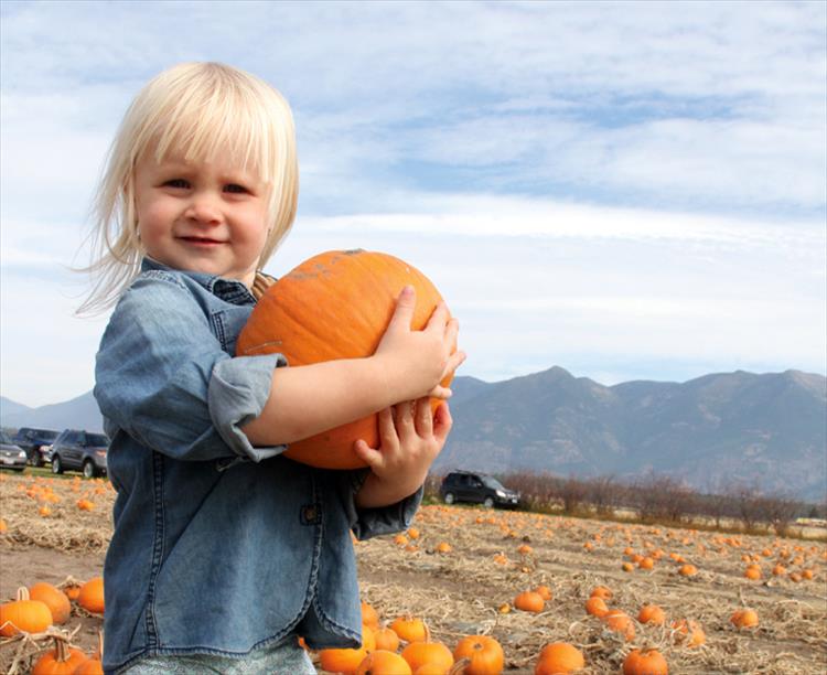 Punkins