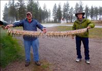 Unseasonable weather increases fish harvest