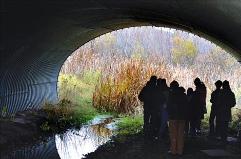 Students from Glacier Lake School investigate the animal crossing tunnel under Highway 93.