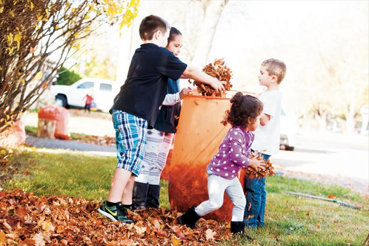 Fall raking