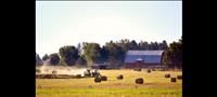 Thank a farmer/rancher for feeding America